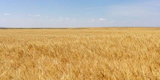 1,160 Acres of Land for Sale in Chester, Montana