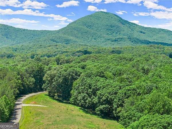 2 Acres of Residential Land for Sale in Cleveland, Georgia
