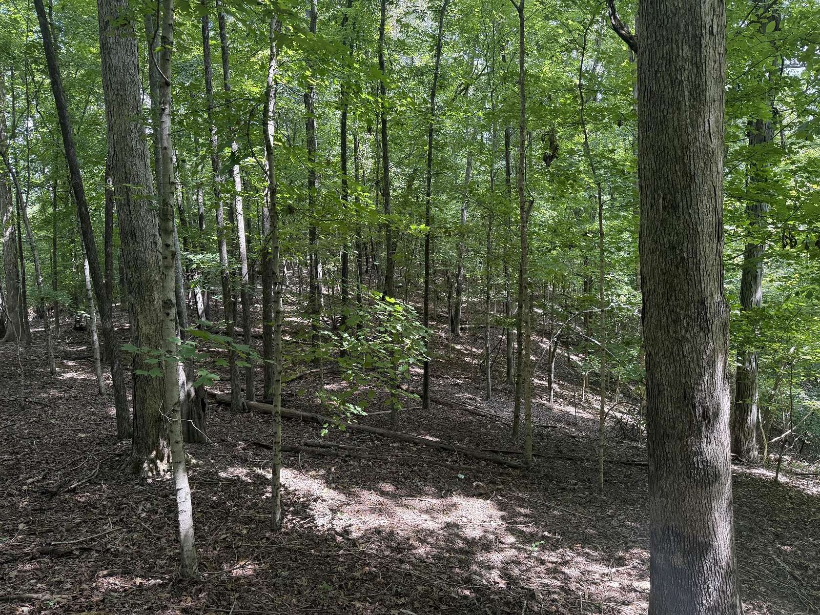 7.68 Acres of Residential Land for Sale in Eddyville, Kentucky