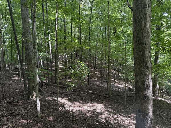 7.68 Acres of Residential Land for Sale in Eddyville, Kentucky