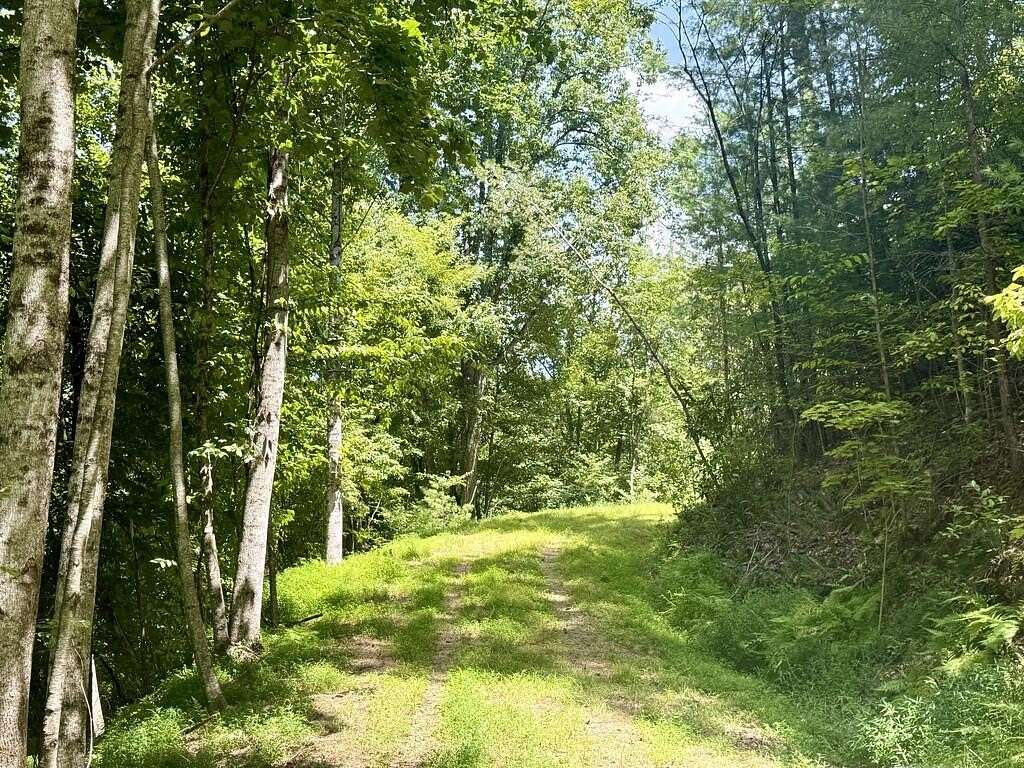 1.4 Acres of Residential Land for Sale in Brasstown, North Carolina