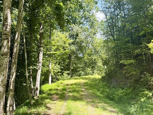 1.4 Acres of Residential Land for Sale in Brasstown, North Carolina