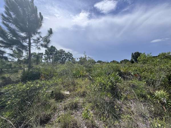 5 Acres of Residential Land for Sale in Okeechobee, Florida