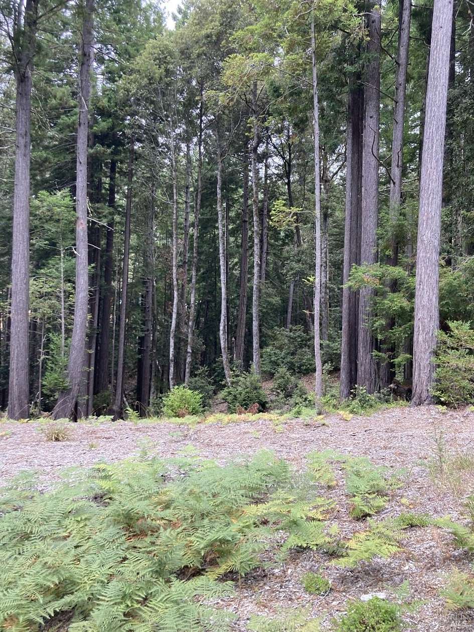 1.34 Acres of Residential Land for Sale in Jenner, California