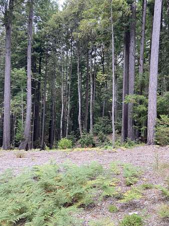 1.34 Acres of Residential Land for Sale in Jenner, California