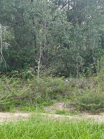 0.23 Acres of Land for Sale in Citrus Springs, Florida