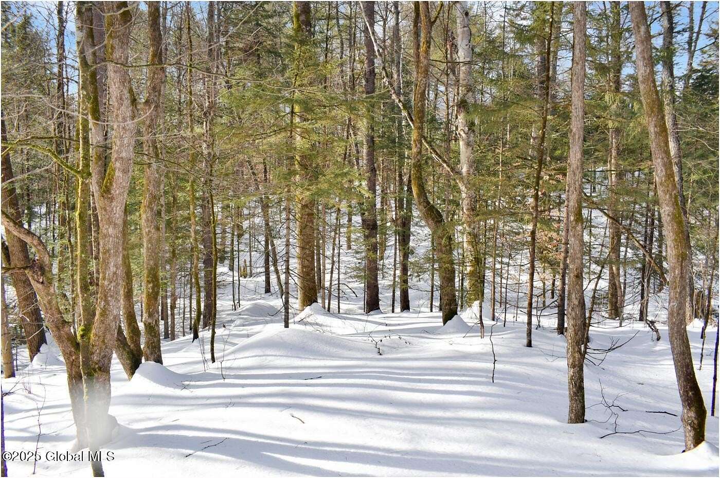 2 Acres of Residential Land for Sale in Wevertown, New York