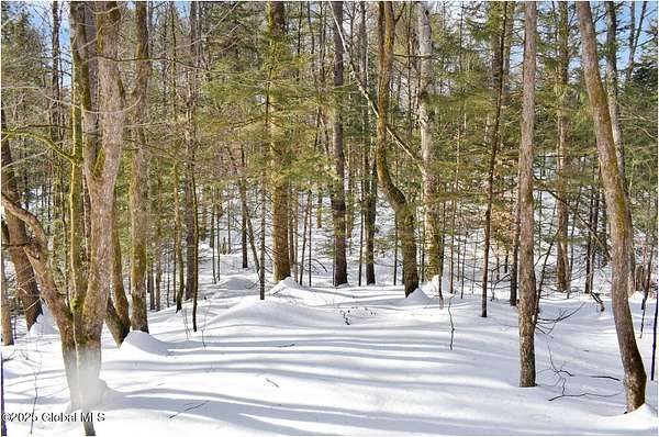 2 Acres of Residential Land for Sale in Wevertown, New York