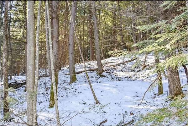 3.36 Acres of Residential Land for Sale in Chestertown, New York