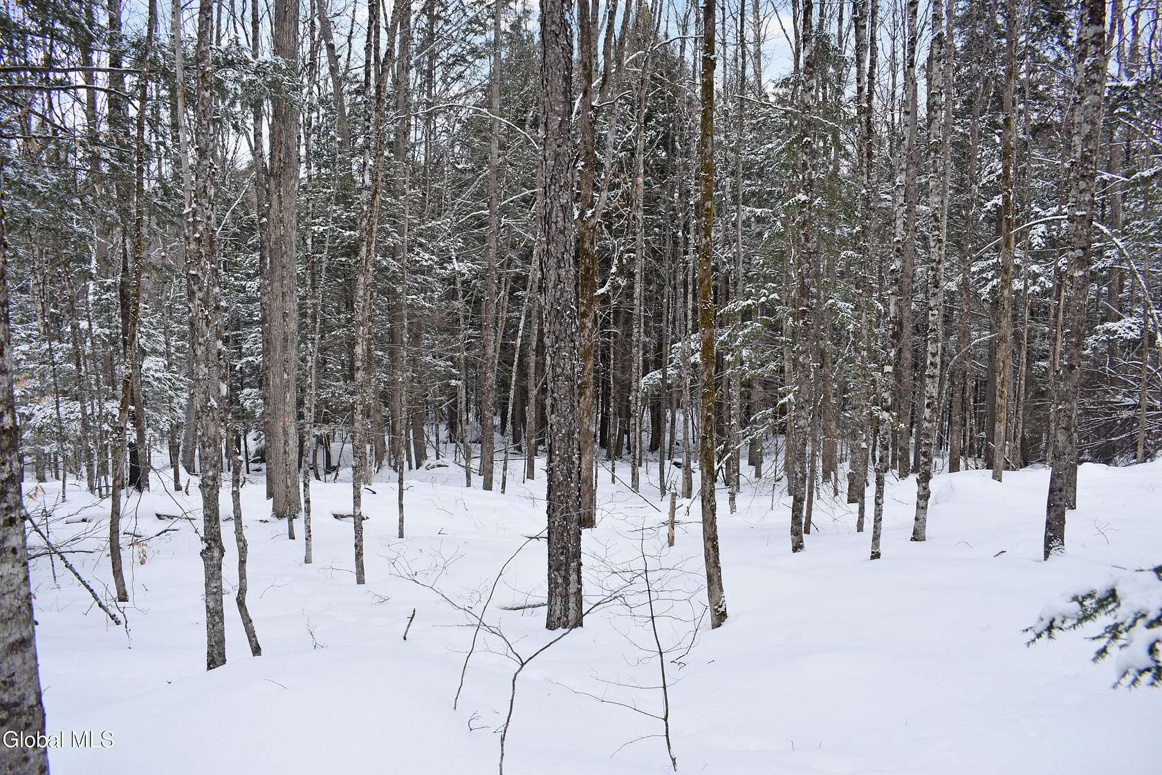 11.1 Acres of Land for Sale in Chestertown, New York