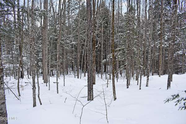 11.1 Acres of Land for Sale in Chestertown, New York
