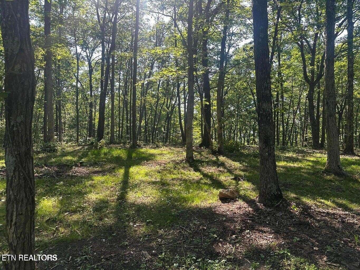 0.47 Acres of Residential Land for Sale in Crab Orchard, Tennessee