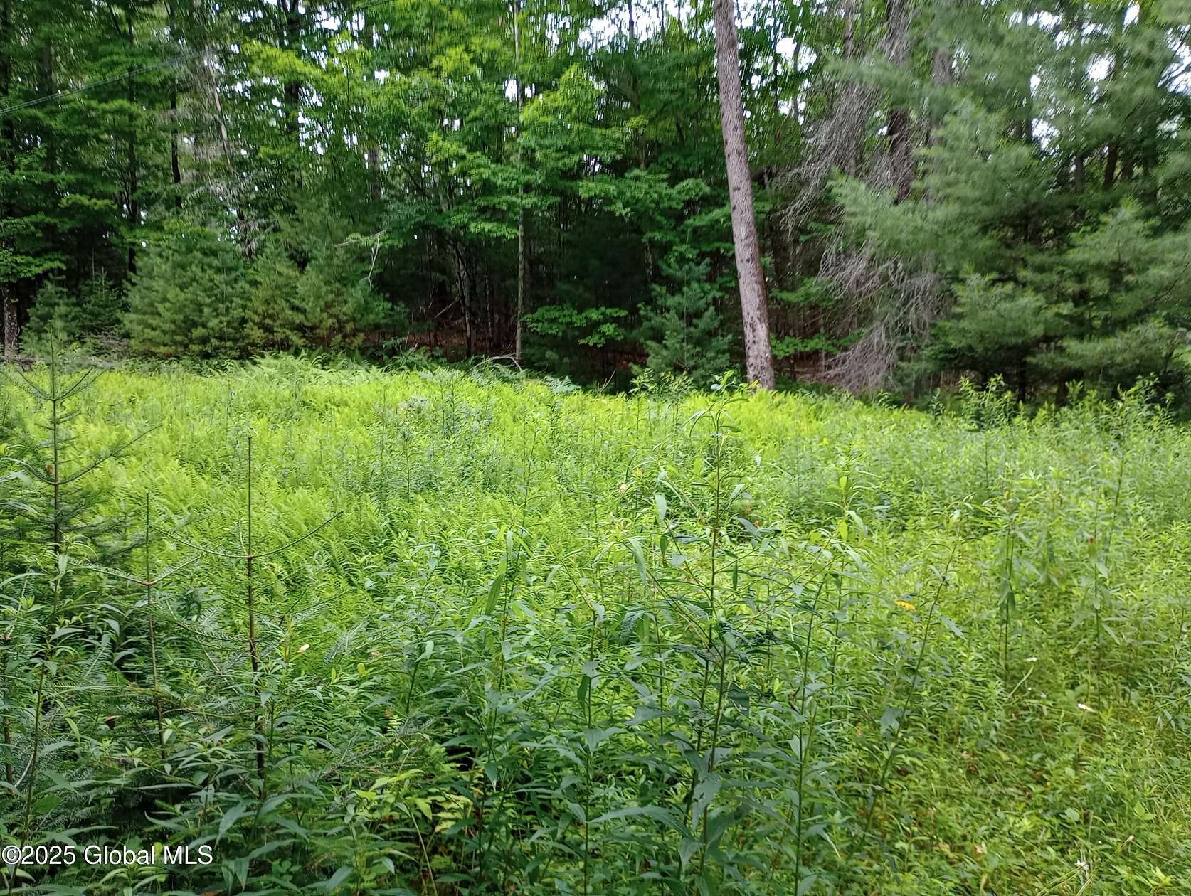 7 Acres of Land for Sale in Minerva, New York