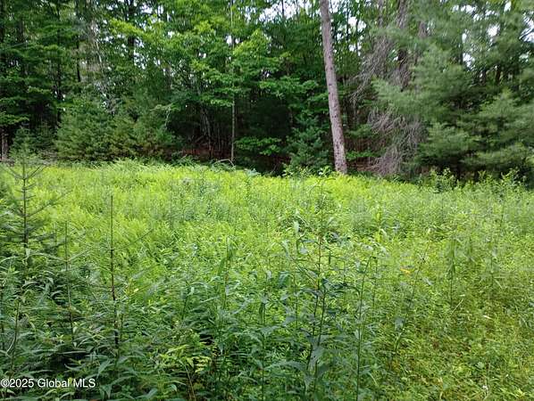 7 Acres of Land for Sale in Minerva, New York