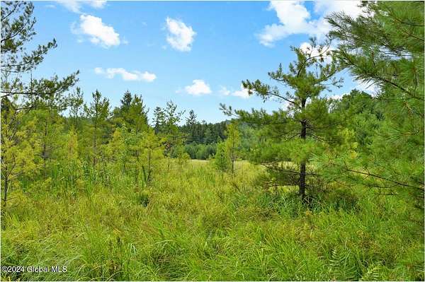 12.8 Acres of Land for Sale in Chestertown, New York