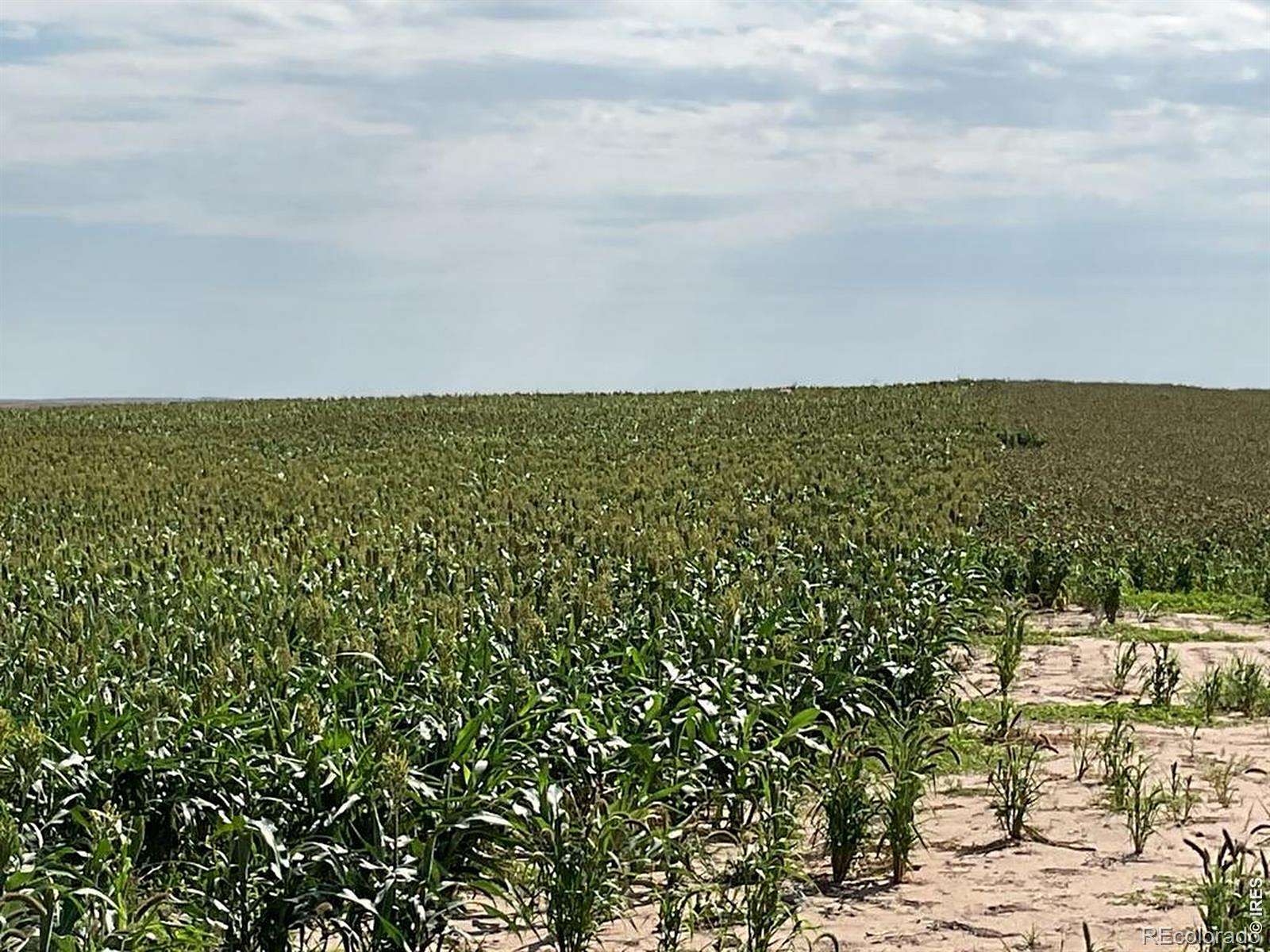 160 Acres of Agricultural Land for Sale in Snyder, Colorado