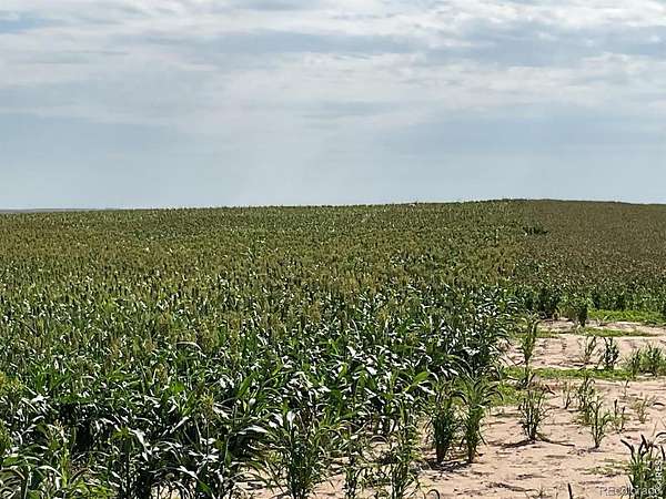 160 Acres of Agricultural Land for Sale in Snyder, Colorado