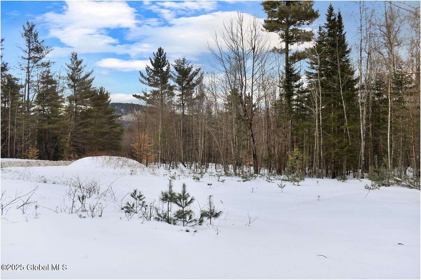 2.3 Acres of Residential Land for Sale in Wevertown, New York