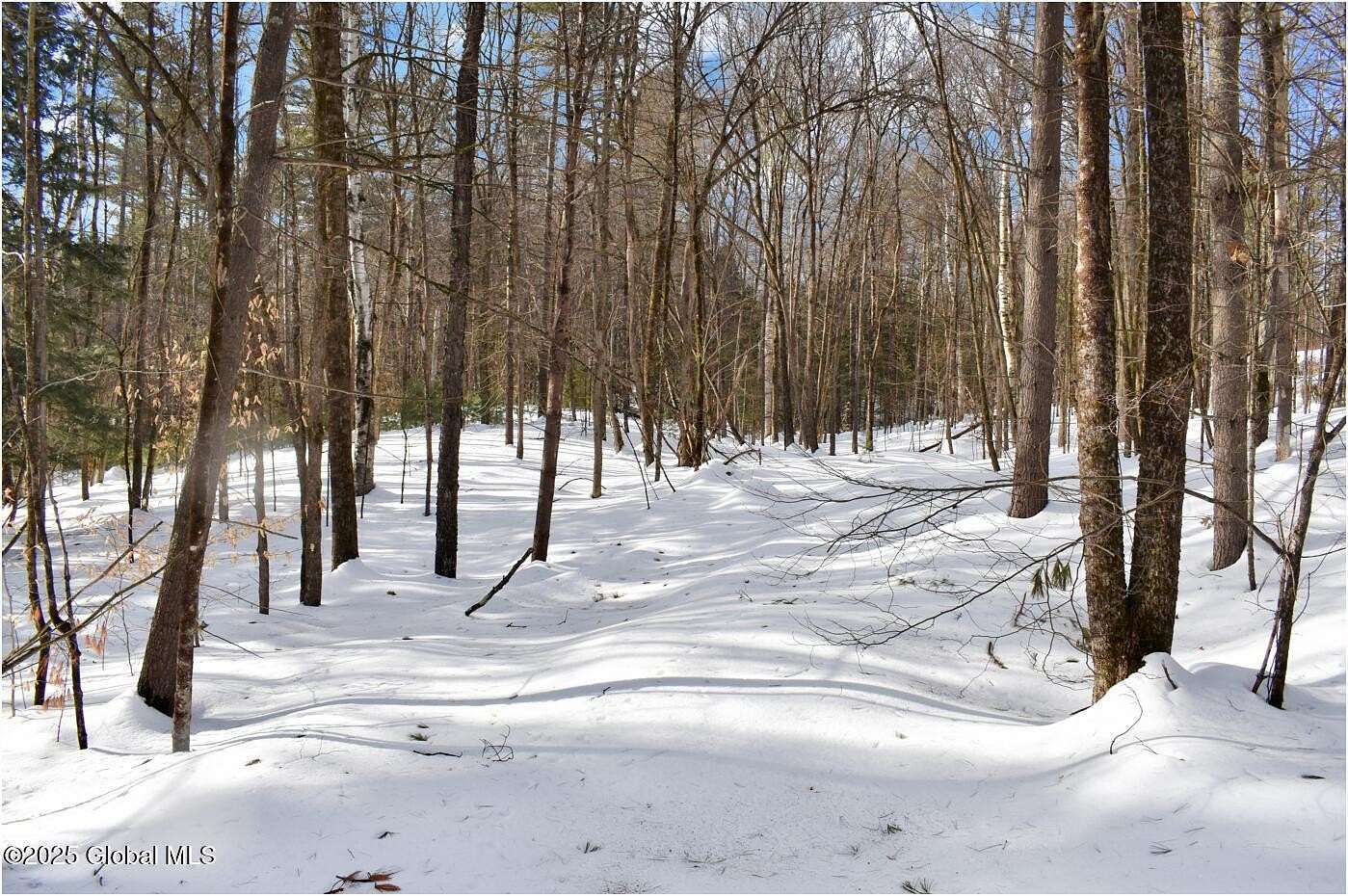 1.26 Acres of Residential Land for Sale in Wevertown, New York