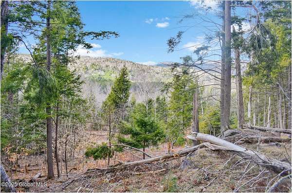 15.8 Acres of Land for Sale in Adirondack, New York