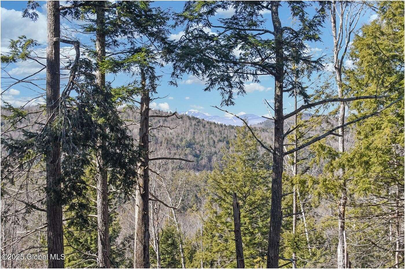 13.4 Acres of Land for Sale in Adirondack, New York