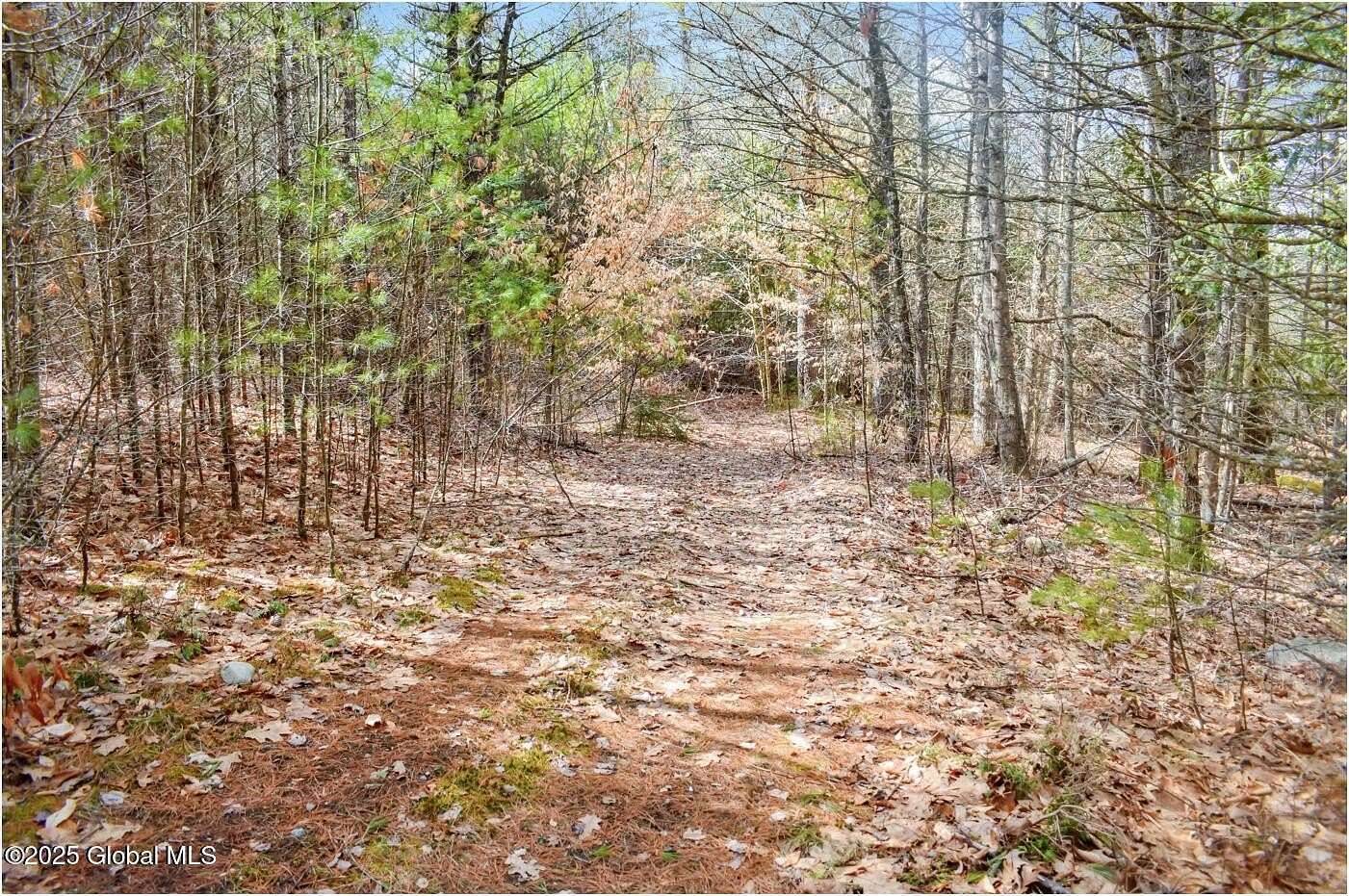 8.6 Acres of Residential Land for Sale in Adirondack, New York