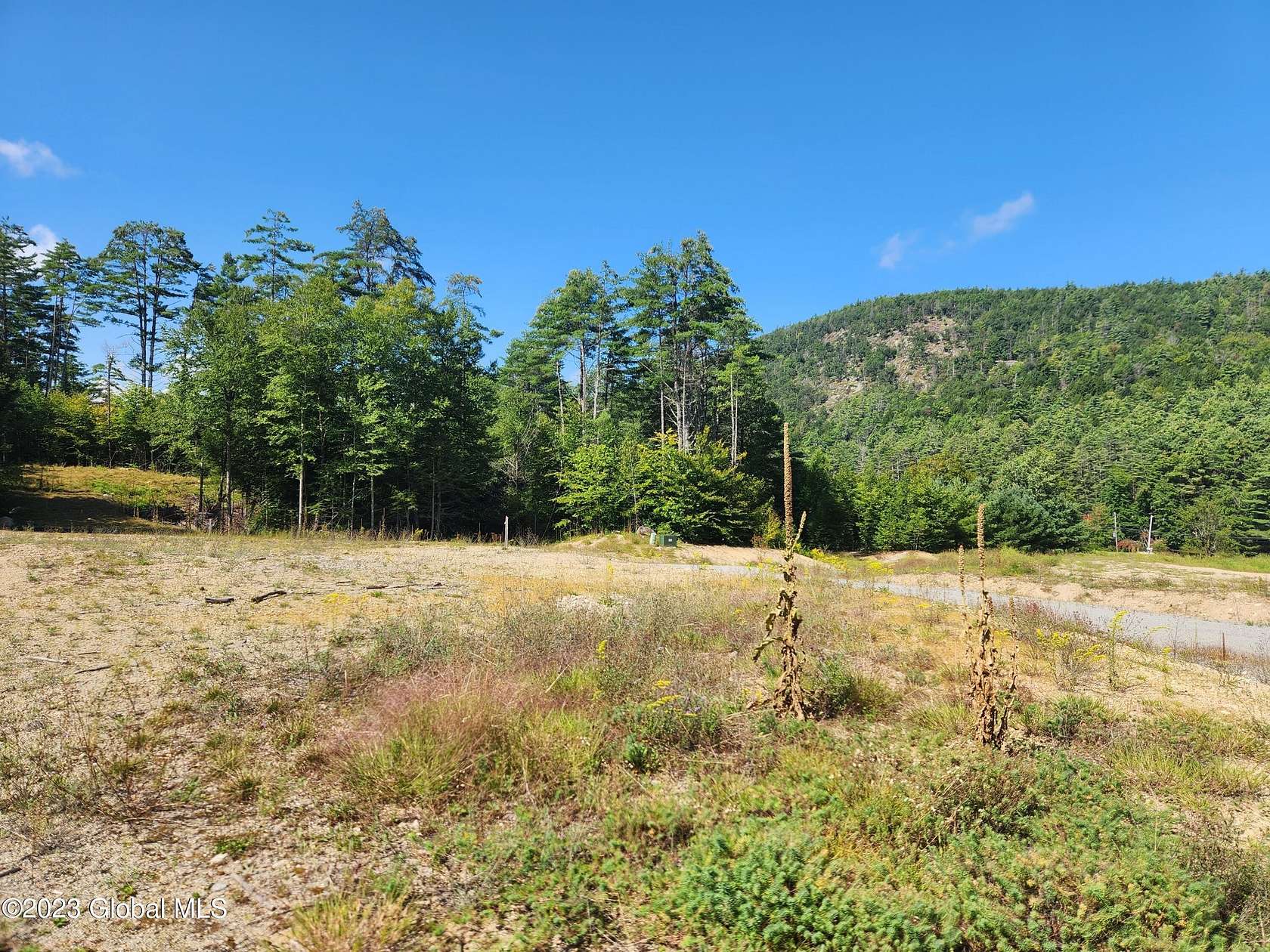 0.71 Acres of Land for Sale in Brant Lake, New York