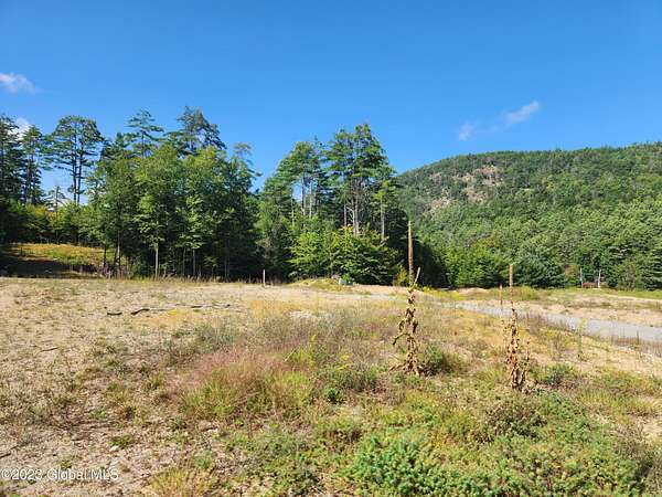 0.71 Acres of Land for Sale in Brant Lake, New York