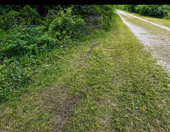 10 Acres of Recreational Land for Sale in Pembroke Township, Illinois