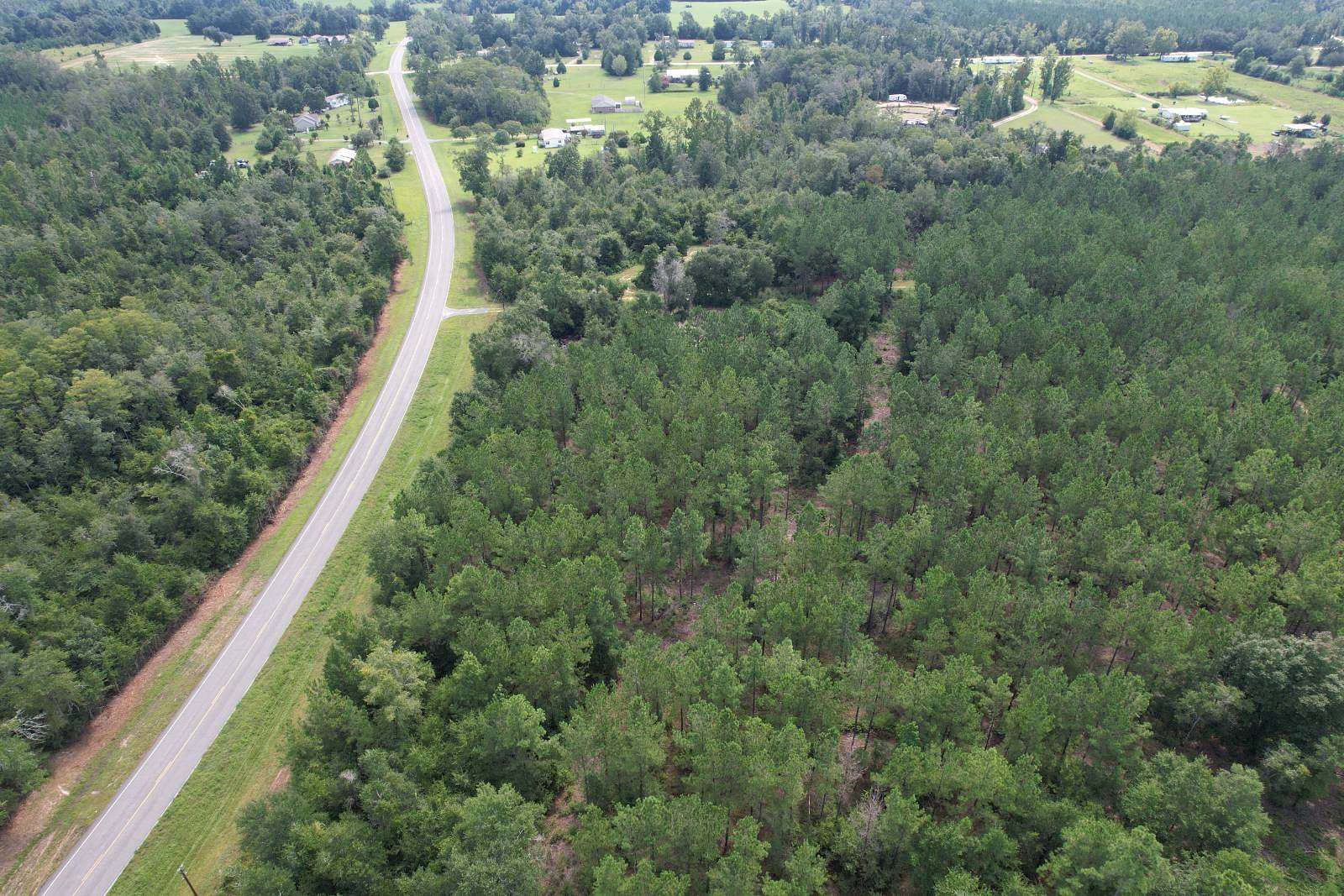 99 Acres of Land for Sale in Marianna, Florida