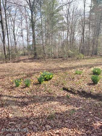 60.5 Acres of Land for Sale in Oakdale, Tennessee