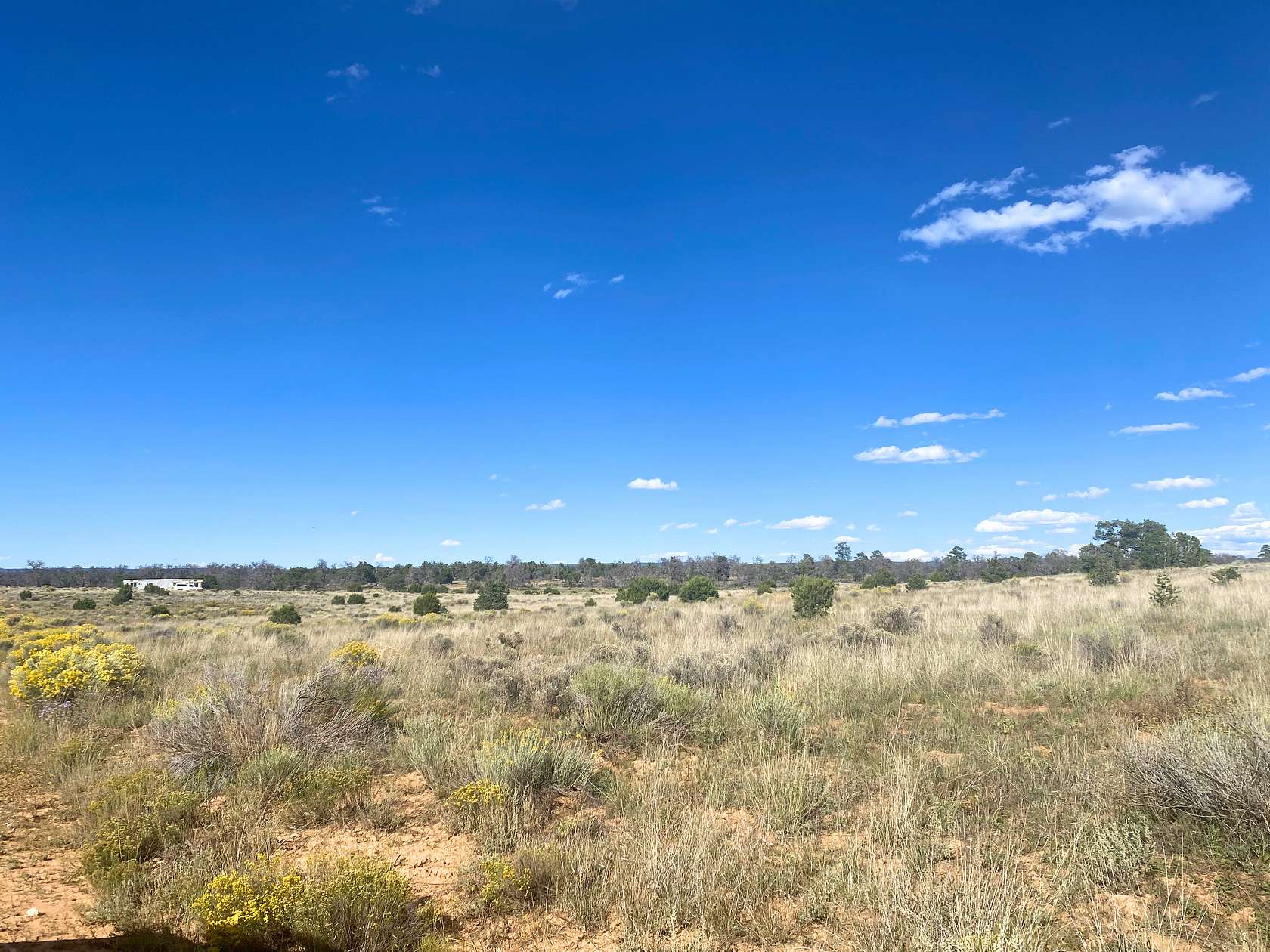 5 Acres of Recreational Land for Sale in Pinehill, New Mexico