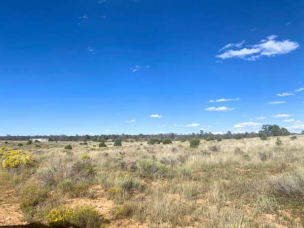 5 Acres of Recreational Land for Sale in Pinehill, New Mexico