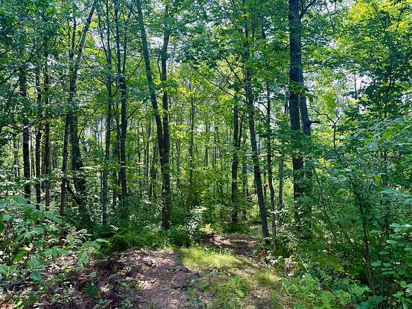 8.19 Acres of Land for Sale in Danbury, Wisconsin