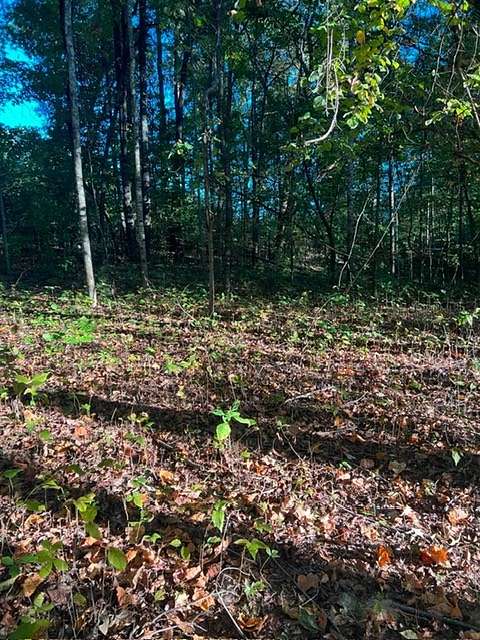 0.86 Acres of Residential Land for Sale in Rutledge, Tennessee