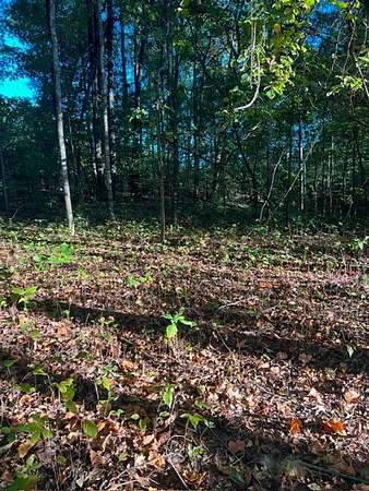 0.86 Acres of Residential Land for Sale in Rutledge, Tennessee