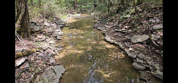 38.5 Acres of Land for Sale in Readyville, Tennessee