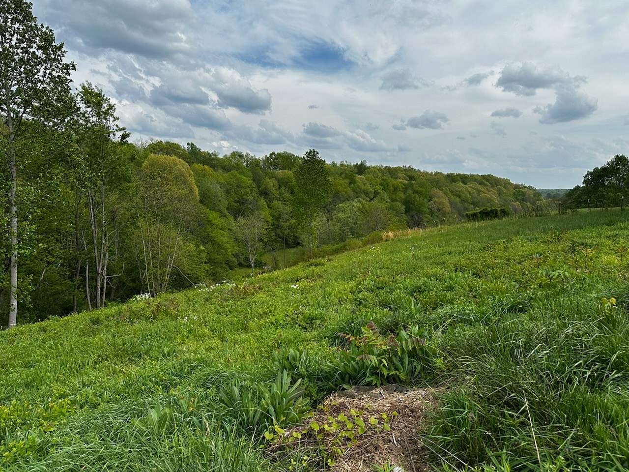 1.14 Acres of Residential Land for Sale in Normandy, Tennessee