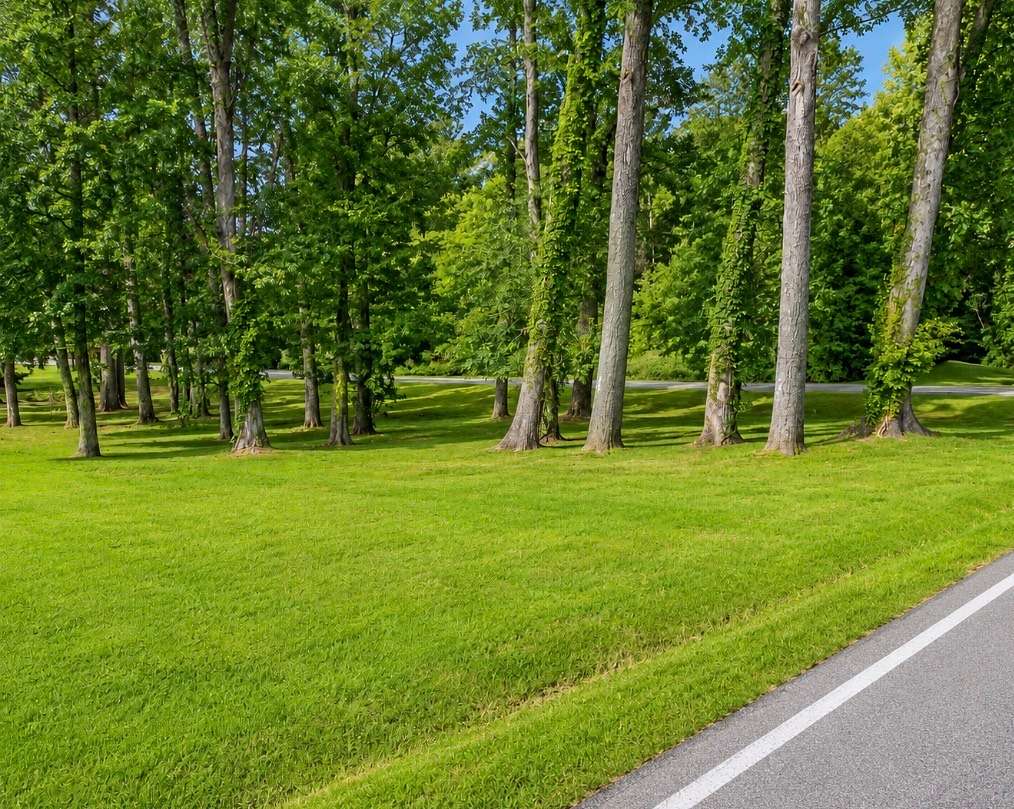 0.44 Acres of Residential Land for Sale in McMinnville, Tennessee