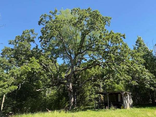 234 Acres of Recreational & Residential Land for Sale in Pattison, Mississippi