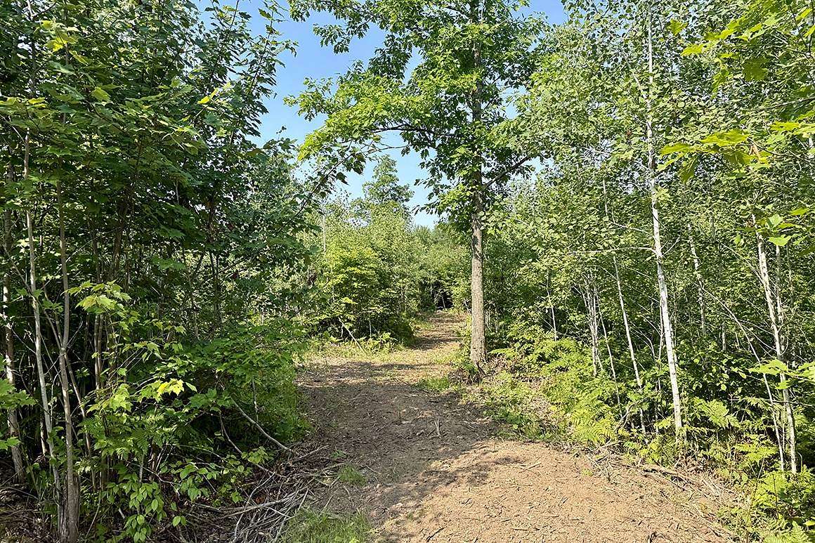 5 Acres of Land for Sale in Danbury, Wisconsin
