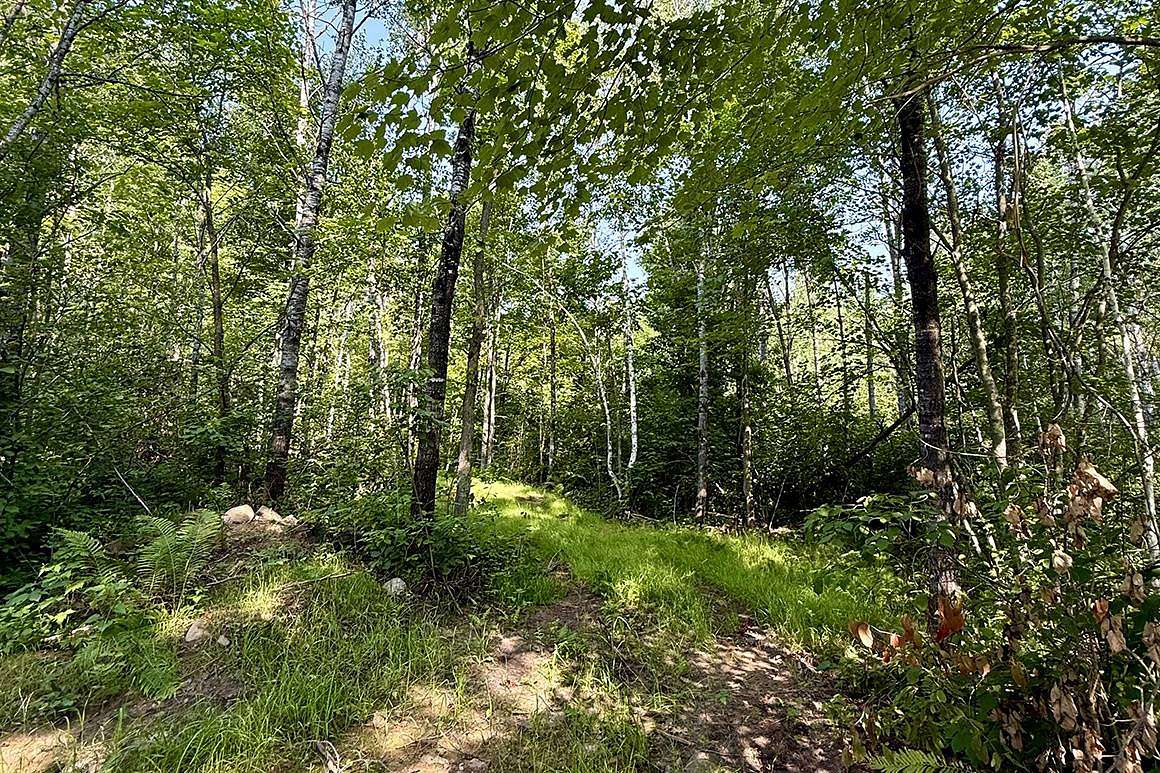 10.1 Acres of Recreational & Residential Land for Sale in Danbury, Wisconsin