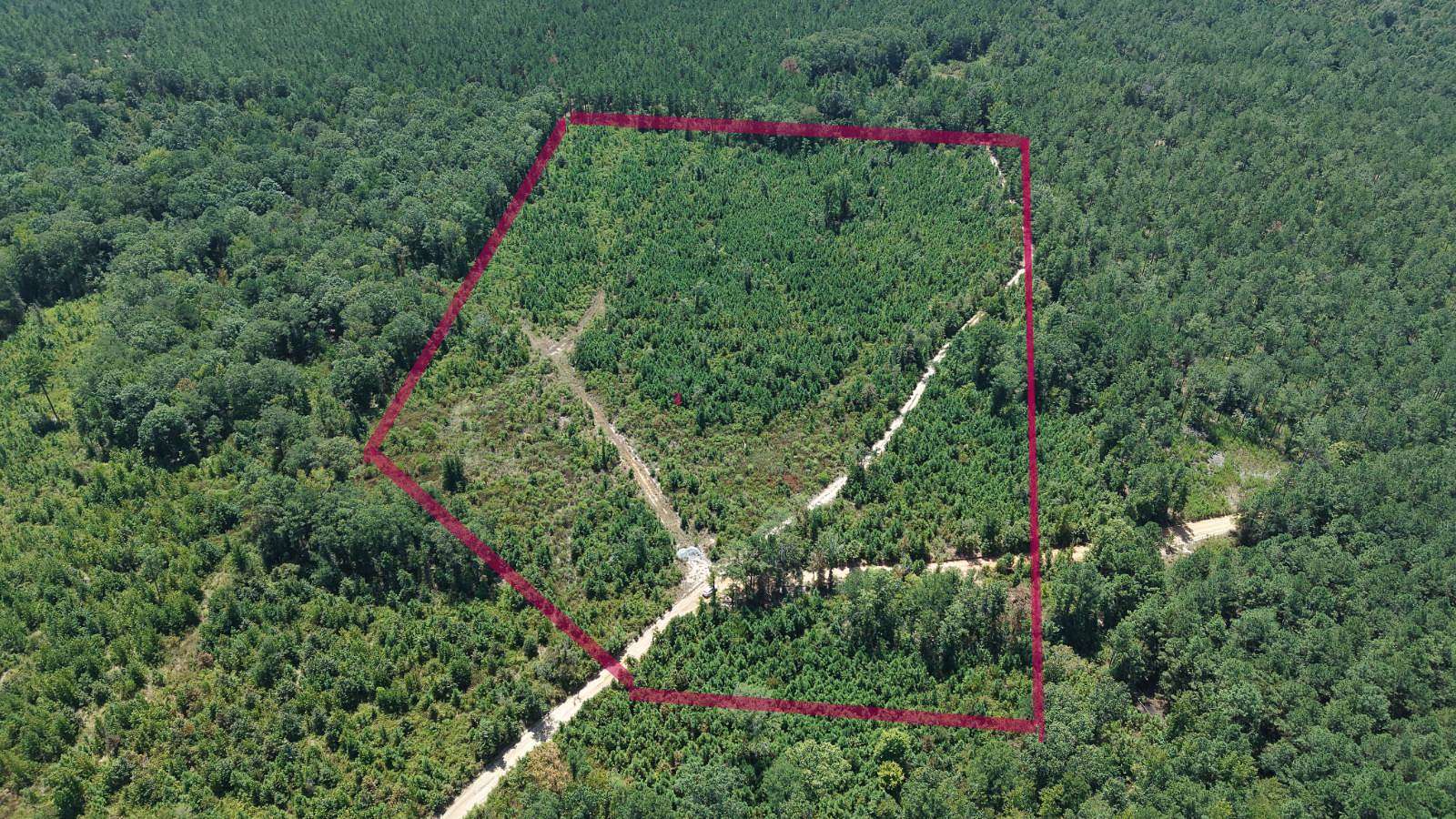 30 Acres of Recreational & Residential Land for Sale in Magnolia, Arkansas