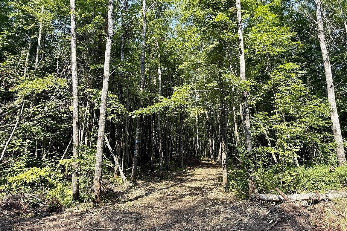 10.1 Acres of Recreational & Residential Land for Sale in Danbury, Wisconsin