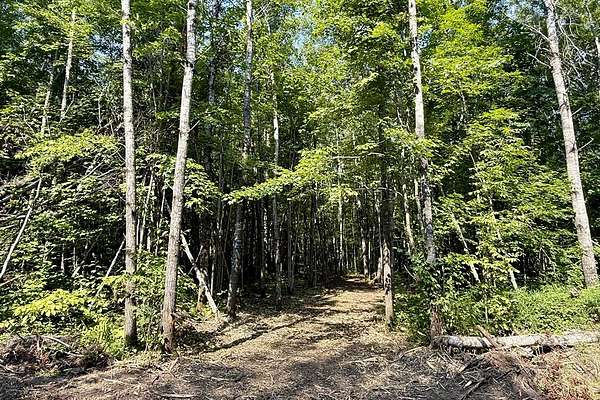 10.1 Acres of Recreational & Residential Land for Sale in Danbury, Wisconsin