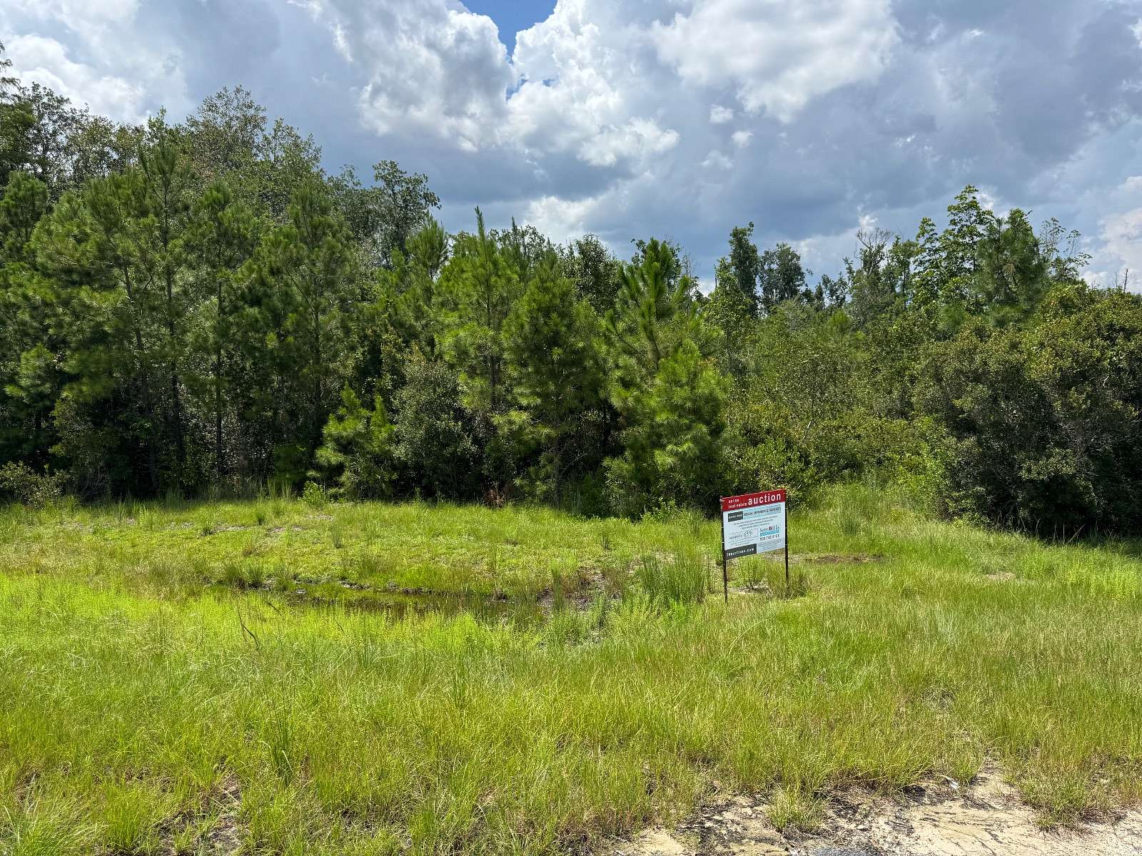 62.9 Acres of Land for Auction in Valdosta, Georgia