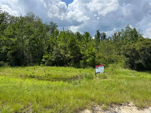 62.9 Acres of Land for Auction in Valdosta, Georgia