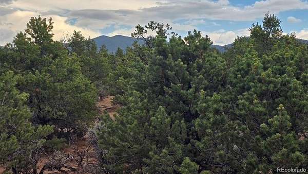 5.53 Acres of Residential Land for Sale in Fort Garland, Colorado