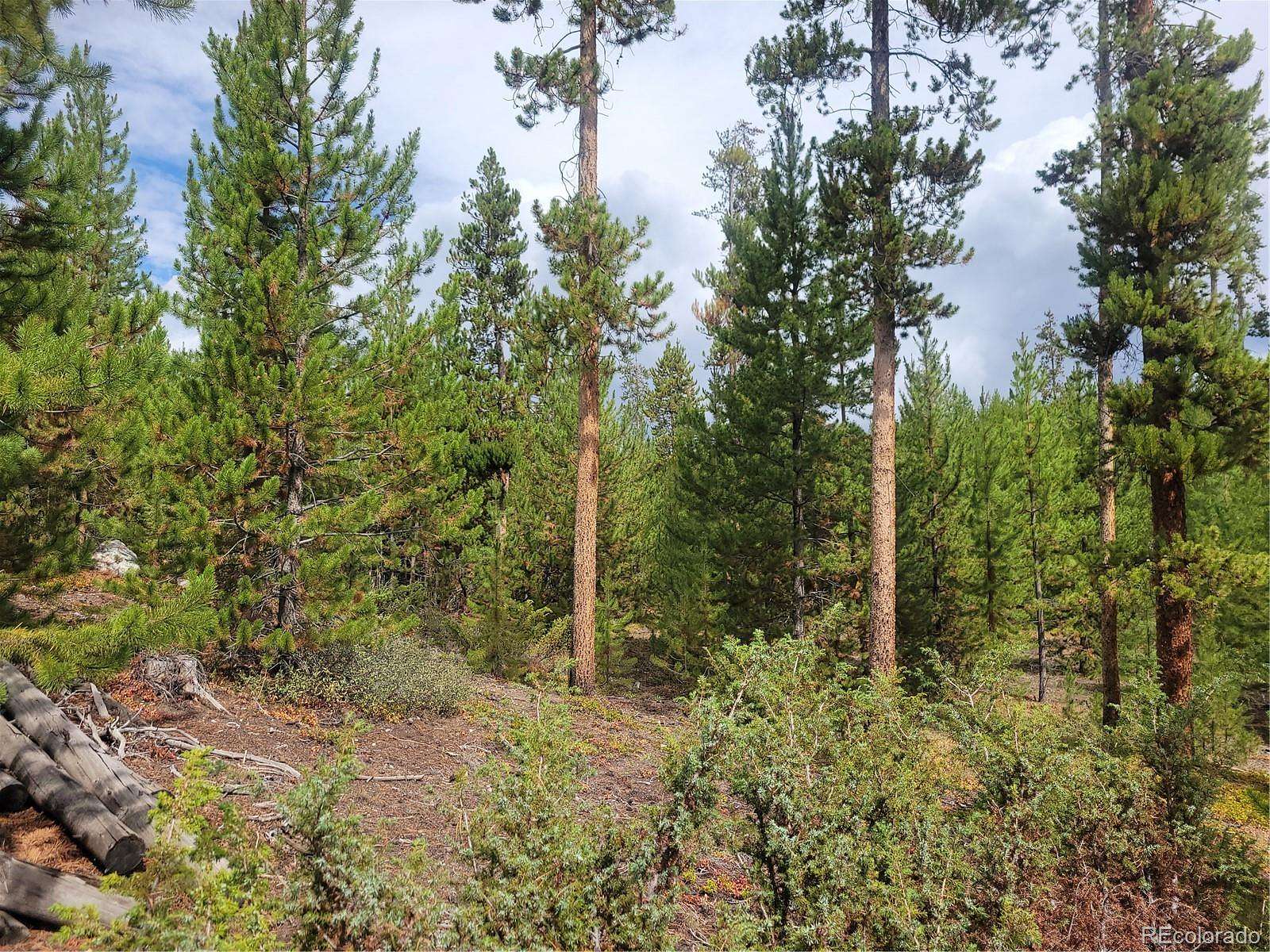 0.55 Acres of Residential Land for Sale in Grand Lake, Colorado