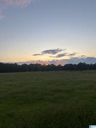 34 Acres of Recreational & Residential Land for Sale in Wilsonville, Alabama